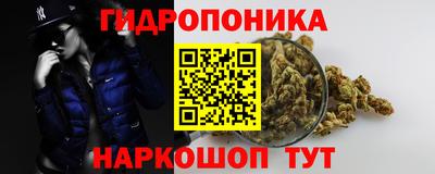 шишки Ликино-Дулёво
