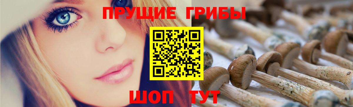 Галлюциногенные грибы мухоморы Грозный